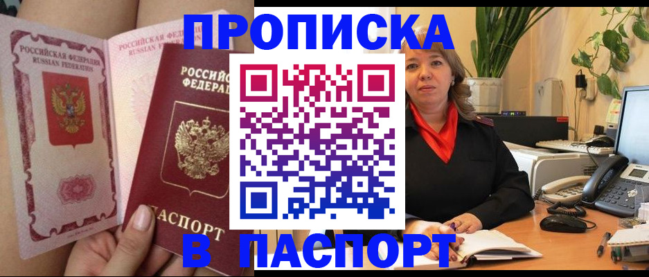прописка поиск в Бердске